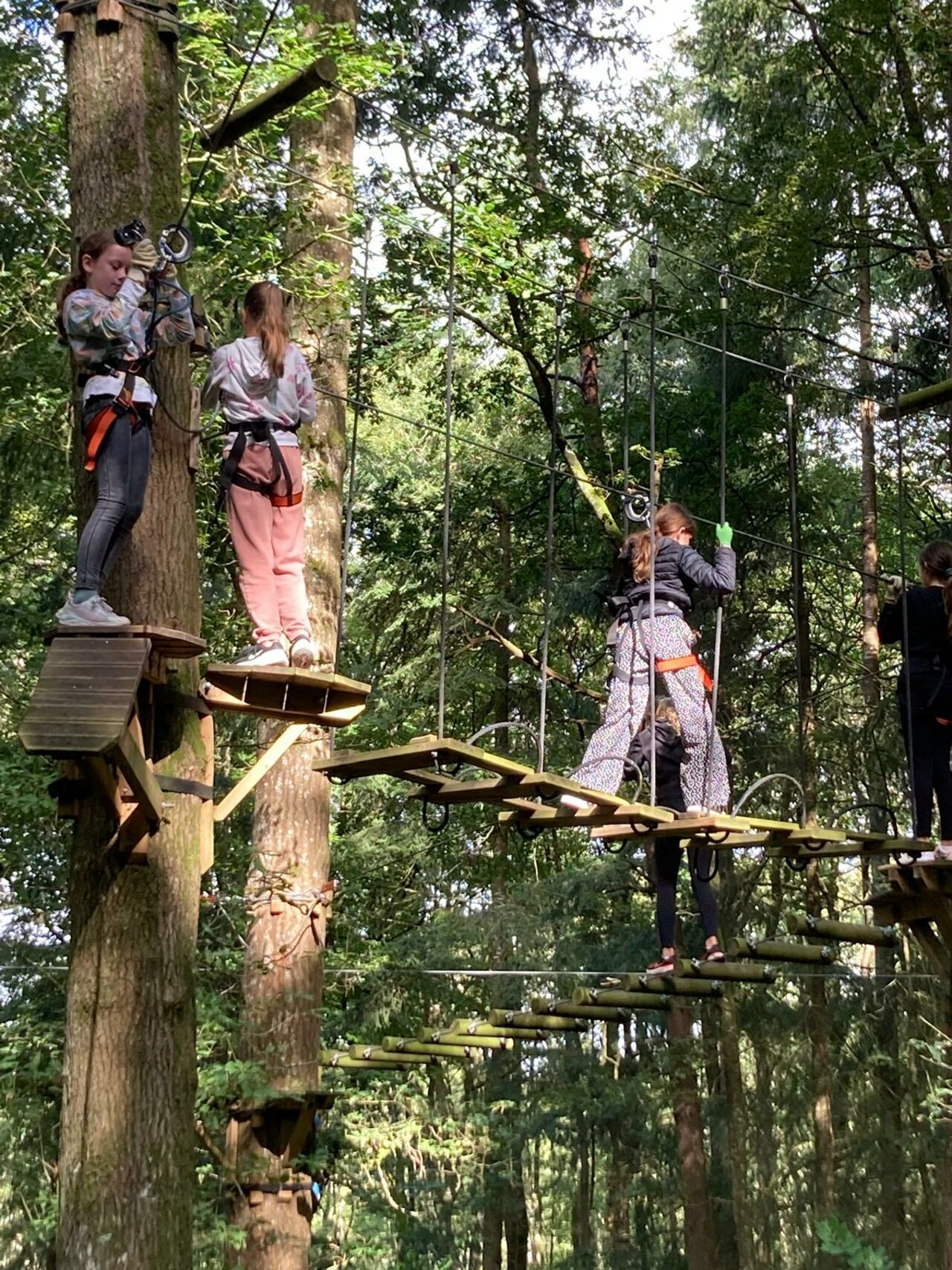 Les 6ᵉ entre aventure et patrimoine à Guerlédan whatsappimage2025-09-12at112530 Les 6ᵉ entre aventure et patrimoine à Guerlédan whatsappimage2025-09-12at112530